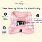 Lucy & Co. Take a Bow Step-in Cat Harness & Leash Bundle – Reflective, Breathable & Adjustable Harness for Cats, Kittens & Small Dogs, Lightweight & Secure and Dual Leash Clips – X-Small