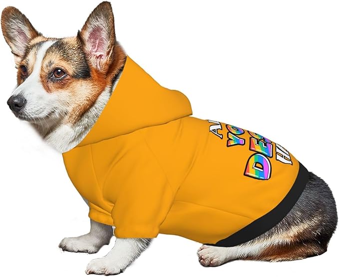 Custom Dog Hoodie Personalized Dog Sweatshirt, Dog Clothes for Small Dogs Customizable, Orange, XXL, Ropa para Perros Pequeños Customized Pets Puppy Clothes, Personalized Gifts