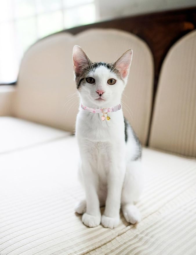Cat Collar Breakaway with Bells,3 Pack Safety Adjustable Pet Collars,Ideal for Girl Boy Kittens. (White Yellow Pink)