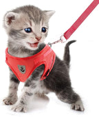 FEimaX Dog Harness and Leash Set for Walking, Soft Mesh Adjustable Easy Control Lightweight Cat Vest Harnesses with Reflective Strips, Escape Proof Small Dogs Cats Vests (Red, X-Large)