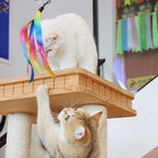 LASOCUHOO Cat Wand Toys Refills, Cat Wand Replacement, Assorted Teaser Refills with Bell for Most Cats, Kittens
