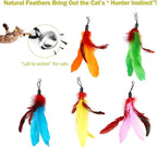 11PCS Cat Feather Toys Refills, 10PCS Feathers and 1PC String, Interactive Cat Wand Toy Replacement for Bored Indoor Adult Cats & Kittens
