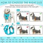 SlowTon Dog Seat Belt Harness for Car, Dog Car Harness Adjustable Mesh Breathable & Dog Seatbelt Safety Tether with Elastic Bungee for Small Medium Large Pets(Light Blue, Double Clip, XS)