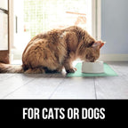 GORILLA GRIP 100% Waterproof Raised Edge BPA Free Silicone Pet Feeding Mat, Dog Cat Food Mats Contain Spills Protects Floors, Placemats for Cats and Dogs Water Bowl, Pets Accessories 16x10, Mint