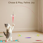 Cat Toys for Indoor Cats, 13 Packs Interactive Cat Wand Toy Set with Feather Toys & Teasers, Fun Cat Toys for Exercise, Playtime and Boredom Relief