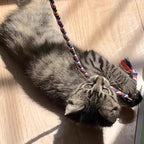 IUHKBH Cat Wands, 4 PCS Colorful Rope Cat Toys Flexible Teaser Wands Interactive Kitten String Wands, Safe Kitty Toys for Indoor