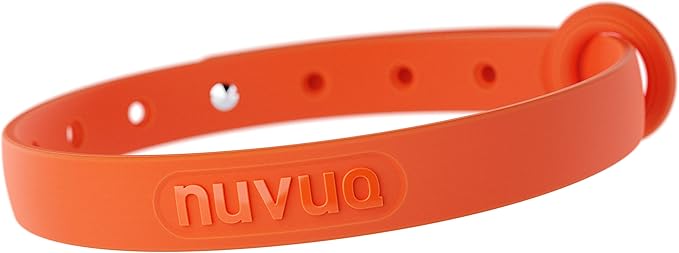 Rubber Cat Collar - Soft, Comfortable, and Lightweight Breakaway Collar with Name Tag Ring for Outdoor Cats and Sensitive Skin Kittens by Nuvuq (6 ⅞" to 10 ¼", Orange)