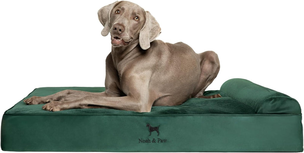 NOAH & PAW XL Dog Bed, 45x35x9.1 Inch, Orthopedic Large Dog Beds, Eggshell Memory Foam Infused with Cooling Gel, Waterproof, Machine Washable, Includes Inner Cover (Velvet Collection)