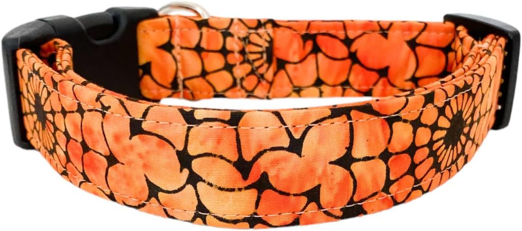 Orange Web Halloween Dog Collar (X-Large)