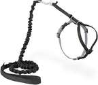PetSafe Come With Me Kitty Cat Harness & Bungee Leash - Comfortable Cat Harness with Lightweight Bungee Leash for Outdoor Fun - More Secure Walks - Medium - Black