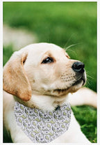 ARING PET Dinosaur Dog Bandanas, Summer Kerchief Triangle Bibs Scarf for Puppy Small Medium Large Boy Girl Dogs Cats-L
