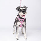 PUPTECK Dog Harness and Leash Set for Small Medium Dogs No Pull Step-in Soft Mesh Puppy Cat Vest Harnesses Reflective at Night, Pink S