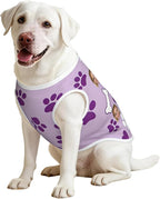 Personalized Matching Dog and Owner Clothes Separately Sold, Custom Face Nightgown for Women Dogs