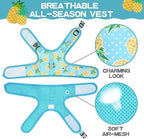 BINGPET Cat Harness - Mesh Cat Dog Walking Harness with Leash - Adjustable Cat Vest Harness for Kittens and Puppies - Pineapple