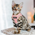 TwoEar Cat Harness and Leash, Soft Dog Vest Harness Adjustable, Breathable Mesh Step-in Puppy Walking Jacket Reflective Easy Control for Extral Small Pets for Outdoor Walking (XXXS, Pink)
