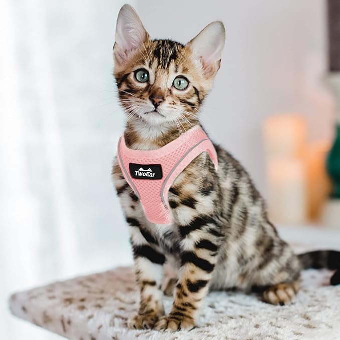TwoEar Cat Harness and Leash, Soft Dog Vest Harness Adjustable, Breathable Mesh Step-in Puppy Walking Jacket Reflective Easy Control for Extral Small Pets for Outdoor Walking (XXXS, Pink)