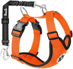 SlowTon Dog Seat Belt Harness for Car, Dog Car Harness Adjustable Mesh Breathable & Dog Seatbelt Safety Tether with Elastic Bungee for Small Medium Large Pets(Orange, Double Clip, M)