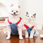 ANIAC Denim Dog Dress Harness with Leash Set Cute Small Dogs Clothes Girl Heart Patterns Puppy Dresses Breathable Mesh Cat Harness Leash Strawberry Chihuahua Yorkie Outfit (White Heart, Large)