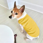 Customized Dog Shirt Custom Pet Clothes T Shirts for Small to Large Dogs Design Image Logo Text Outfits for Puppy Cat Personalized Breathable Sleeveless Pullover Yellow, XL