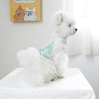 Fashion Sweet Puppy Dog Blingbling Princess Skirt Pet Dog Lace Cake Camisole Tutu Dress C-Green XL