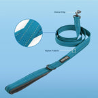 Best Pet Supplies Voyager Reflective Dog Leash or Collar with Neoprene Handle, for Small, Medium, and Large Breed Puppies, Cute and Heavy Duty for Walking, Running and Training - Turquoise Leash, L