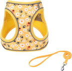 Step in Dog Harness No Pull Honeybee Adjustable Soft Mesh Padded Reflective Pet Vest Harness and Leash Set for Small Medium Dogs