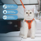 Voyager Step-in Pet Harness - All Weather Mesh, Adjustable Step in Harness for Cats and Dogs by Best Pet Supplies - 307S Orange, XXXS