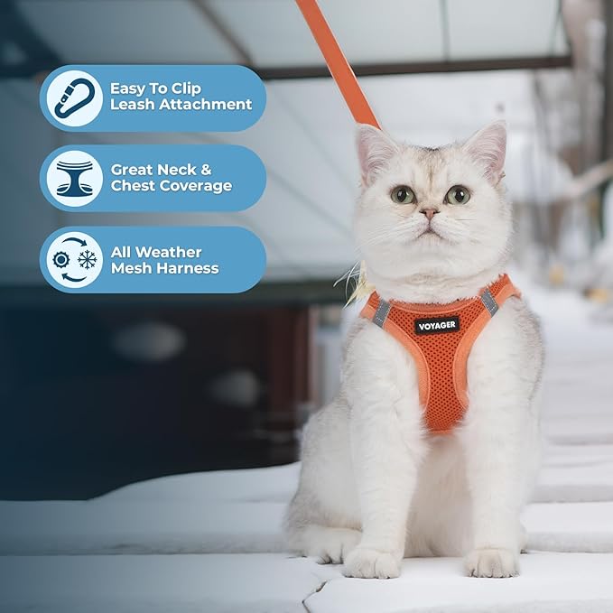 Voyager Step-in Pet Harness - All Weather Mesh, Adjustable Step in Harness for Cats and Dogs by Best Pet Supplies - 307S Orange, XXXS
