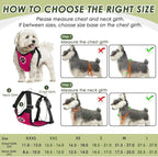 SlowTon Dog Seat Belt Harness for Car, Dog Car Harness Adjustable Mesh Breathable & Dog Seatbelt Safety Tether with Elastic Bungee for Small Medium Large Pets(Fuchsia, Double Clip, M)