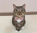 2 Pack Soft Cotton Cat Collars with Bowtie and Bell Breakaway Plaid Cat Kitten Collar(Pink and Jade Green)