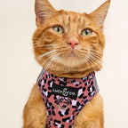 Lucy & Co. Wild Side Step-in Cat Harness & Leash Bundle – Reflective, Breathable & Adjustable Harness for Cats, Kittens & Small Dogs, Lightweight & Secure and Dual Leash Clips – Small
