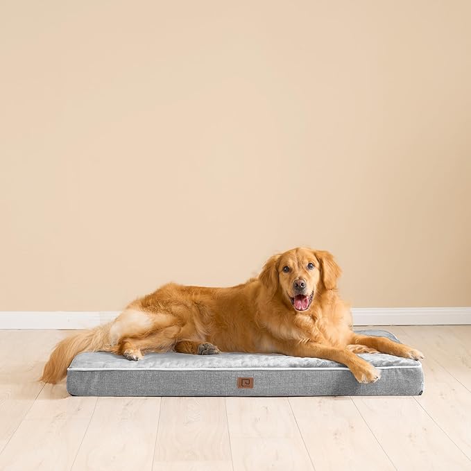 EHEYCIGA Waterproof Dog Bed Orthopedic 41"x27", Memory Foam Pet Bed for XLarged Dogs, Washable Pet Mat with Removable Cover, Grey