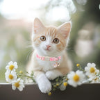 2 Pack Pink Cat Collars - Cute Bow & Daisy Breakaway Cat Collar with Bell & Matching Pendant, Soft Adjustable Spring Summer Girly Kitten Collars for Girl Cats