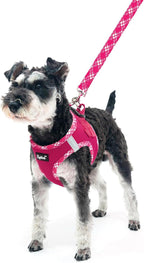 PUPTECK Dog Harness and Leash Set for Small Medium Dogs No Pull Step-in Soft Mesh Puppy Cat Vest Harnesses Reflective at Night, Fuchsia, M