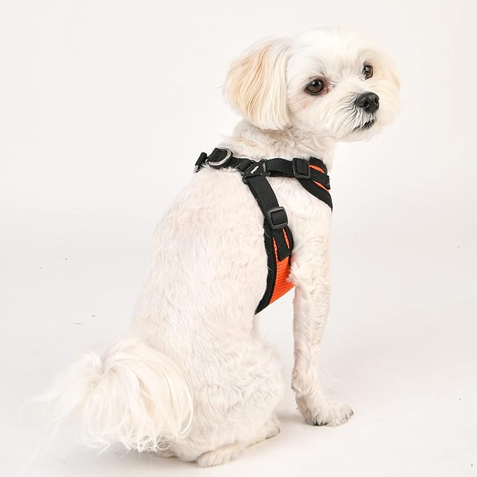 Puppia Dog Harness Comfort Mesh Step-in All Season No Pull No Choke Walking Training Adjustable Neck & Chest for Small & Medium Dog - Orange - M