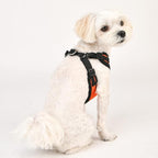 Puppia Dog Harness Comfort Mesh Step-in All Season No Pull No Choke Walking Training Adjustable Neck & Chest for Small & Medium Dog - Orange - M