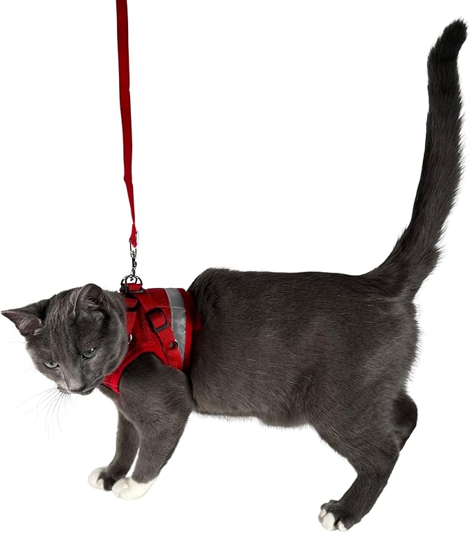 Travel Cat Harness and Leash Set - Adjustable Fit Mesh Cat Harness and Reflective Strap - Comfort Walking Vest for Kitten for Outdoor Walking, Hiking (Small, Red)