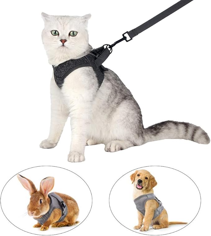 HEYWEAN Cat Harness and Leash - Ultra Light Escape Proof Kitten Collar Cat Walking Jacket with Running Cushioning Soft and Comfortable Suitable for Puppies Rabbits