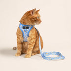 Lucy & Co. Simply Splendid Step-in Cat Harness & Leash Bundle – Reflective, Breathable & Adjustable Harness for Cats, Kittens & Small Dogs, Lightweight & Secure and Dual Leash Clips – Medium