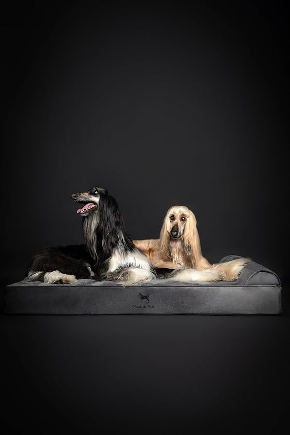 NOAH & PAW Giant Dog Bed XXL 55x45x9.5 Inch, Orthopedic Dog Beds, Eggshell Memory Foam Infused with Cooling Gel, Waterproof, Machine Washable, Includes Inner Cover (Velvet Collection)