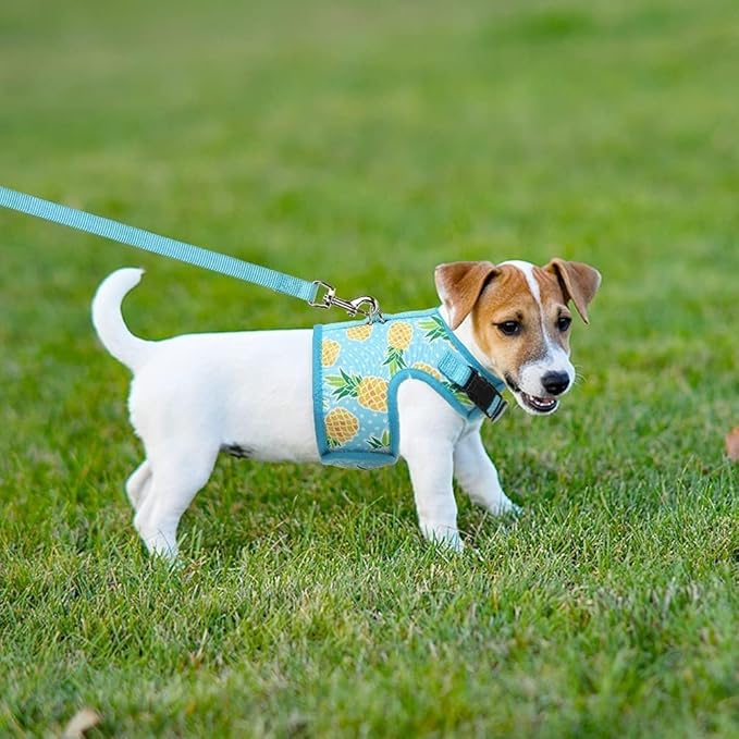 BINGPET Cat Harness - with Leash Included - Mesh Cat Dog Walking Harness Adjustable Harness for Kitties Puppy Harness Adjustable Cat Vest Harness Small Pineapple