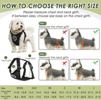 SlowTon Dog Seat Belt Harness for Car, Dog Car Harness Adjustable Mesh Breathable & Dog Seatbelt Safety Tether with Elastic Bungee for Small Medium Large Pets(Black, Double Clip, XXS)