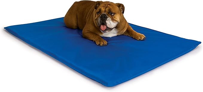 K&H Pet Products Cool Bed III Dog Cooling Mat, Indoor Outdoor Cooling Beds for Medium Dogs, Chilling Pet Pad for in Home, Outdoor Houses, Crates, Yards, Porches - Medium 32 X 22in Chill Blue