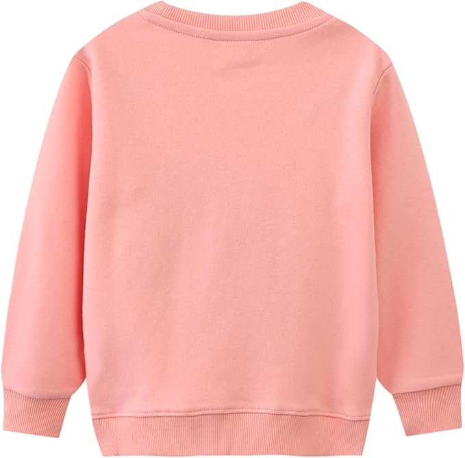 Bumeex Toddler Girl Sweatshirt Clothes Outfit,Cotton Crewneck Christmas Clothing