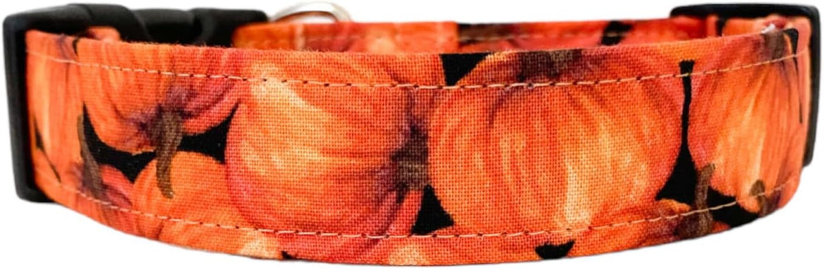 Orange Pumpkins Dog Collar (Medium)