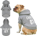 Custom Name Dog Hoodie, Personalized Pet Name Sweatshirt for Small Medium Large Dogs, Custom Dogs Winter Outfits