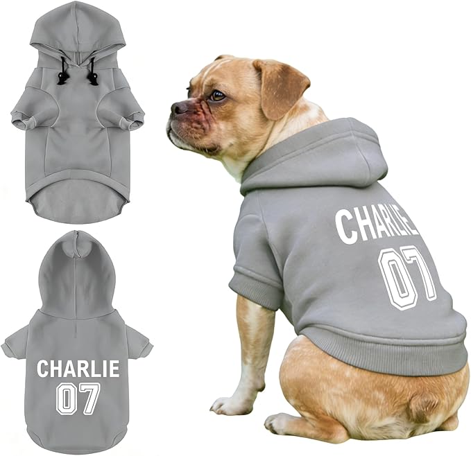 Custom Name Dog Hoodie, Personalized Pet Name Sweatshirt for Small Medium Large Dogs, Custom Dogs Winter Outfits