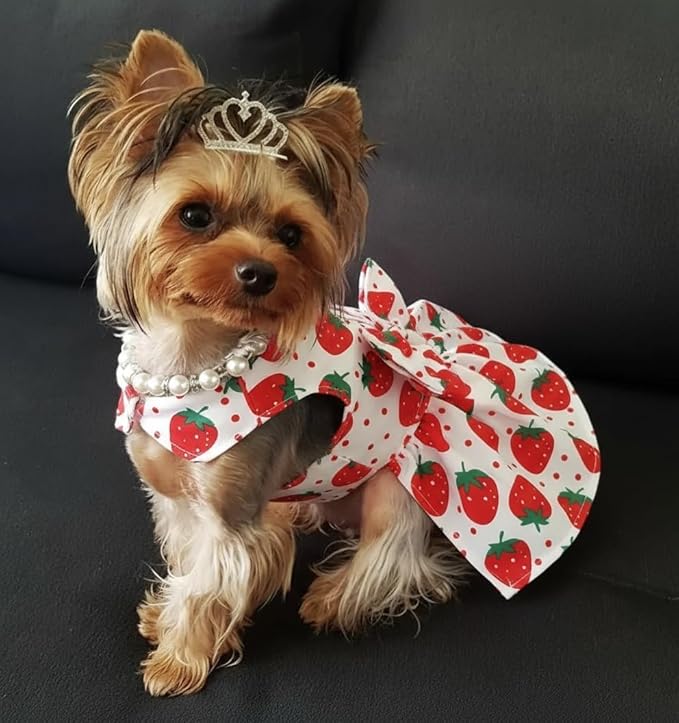 Dog Dress Bowknot Harness Leash Set for Small Dogs Red Strawberry Dog Cat Clothes Cute Puppy Outfits Pet Clothes Spring Summer Breathable Dresses(Medium)
