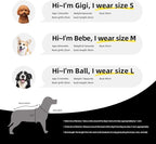 Houston Dog Clothes Jersey Pet Jersey Customized Any Name & Number S-5XL for Small Middle and Big Dogs
