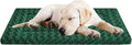 Washable Dog Bed Plush Orthopedic Outdoor Crate Mat with Non-Slip Bottom,Luxe Soft Kennel Pad for Pets,Cozy Cage Cushion & Pet Sleeping Mattress Large Sized,Medium,Small Dogs,30 x 20 inch,Green